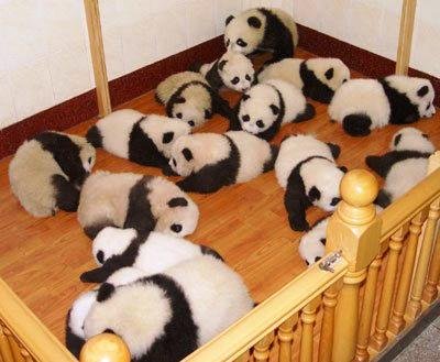 Pandas 07